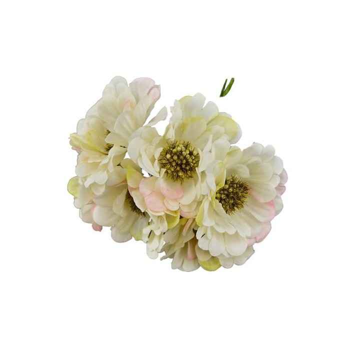 GERBERA SFUMATO BIANCO D5